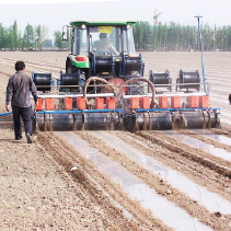 マルチフィルム